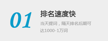关键词排名优化,SEO优化,网站seo优化